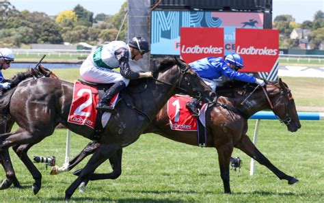 blue diamond stakes odds|Blue Diamond Stakes 2023 .